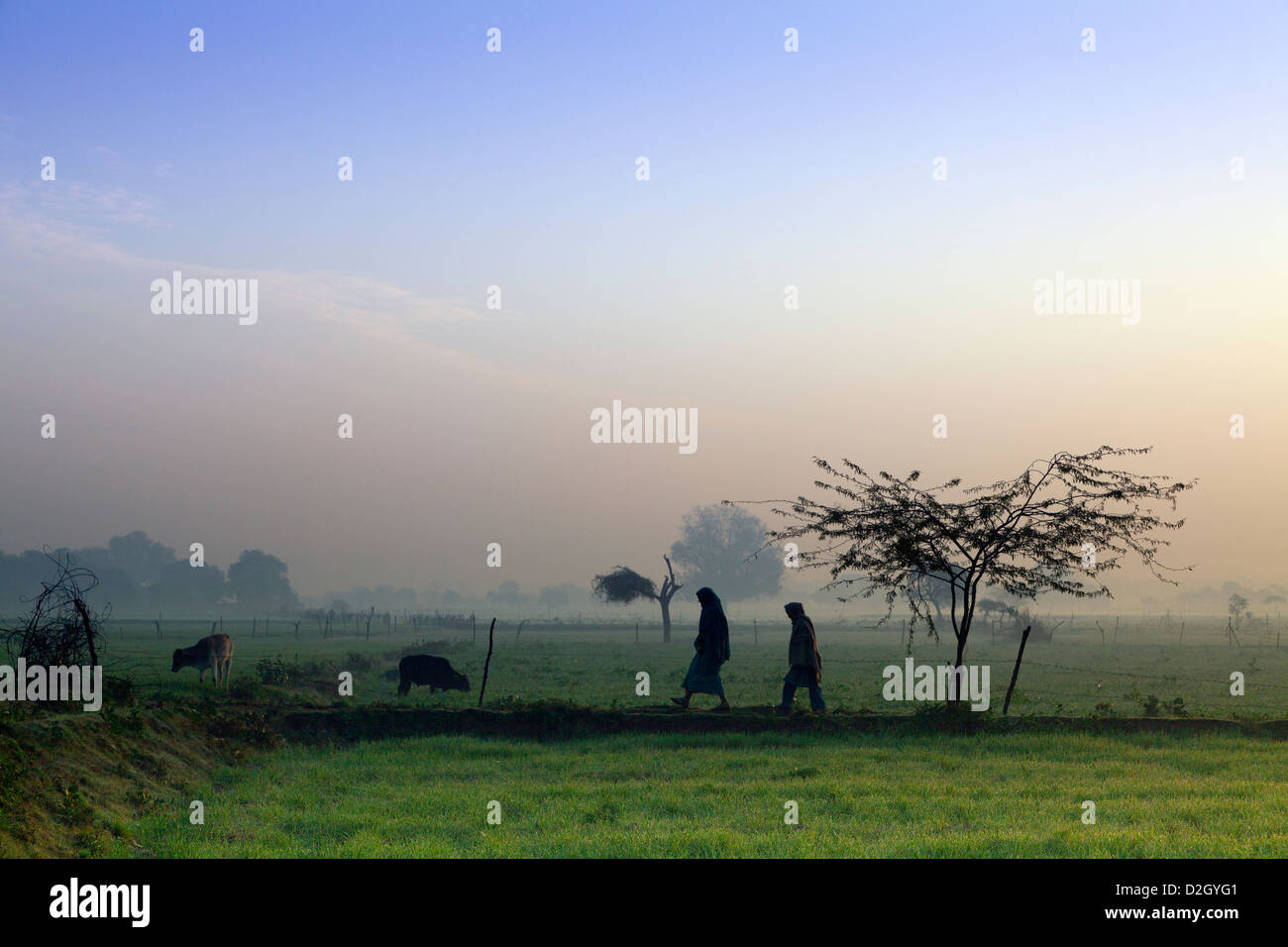 India, Uttar Pradesh, Agra Two men crossing field at dawn Stock Photo