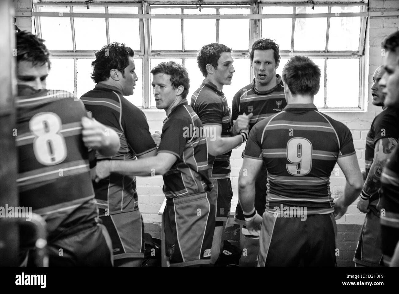 Rugby players at Wimbledon Rugby Club encourage each other in the dressing room after their team talk. Stock Photo