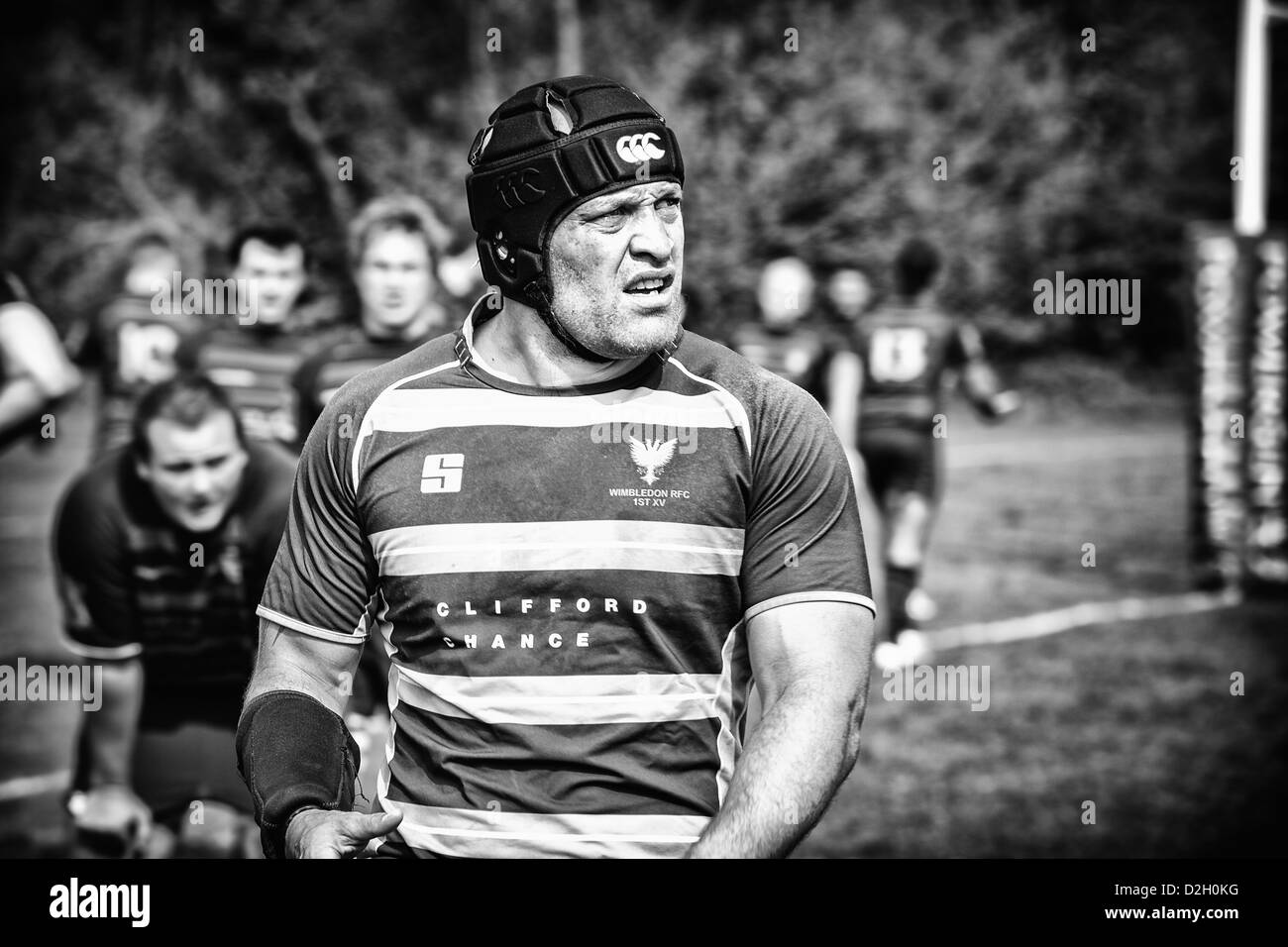 Rugby player close up. Stock Photo