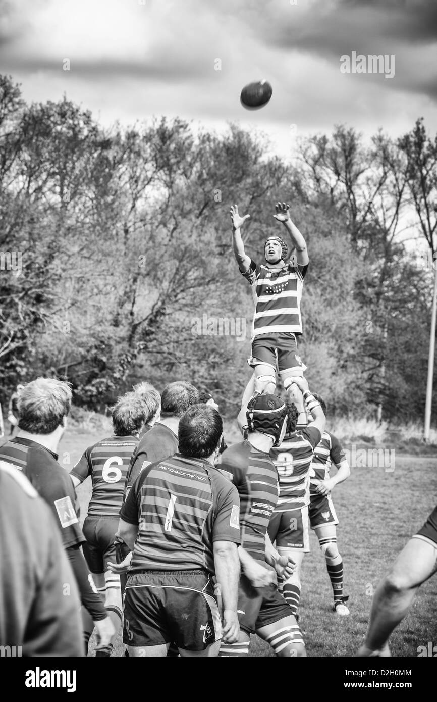 Rugby player is lifted by his team mates during a line out to catch the ball. Stock Photo