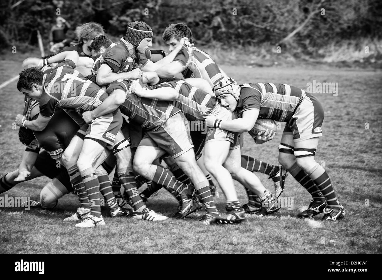 Rugby player protects the ball at the back of a maul. Stock Photo