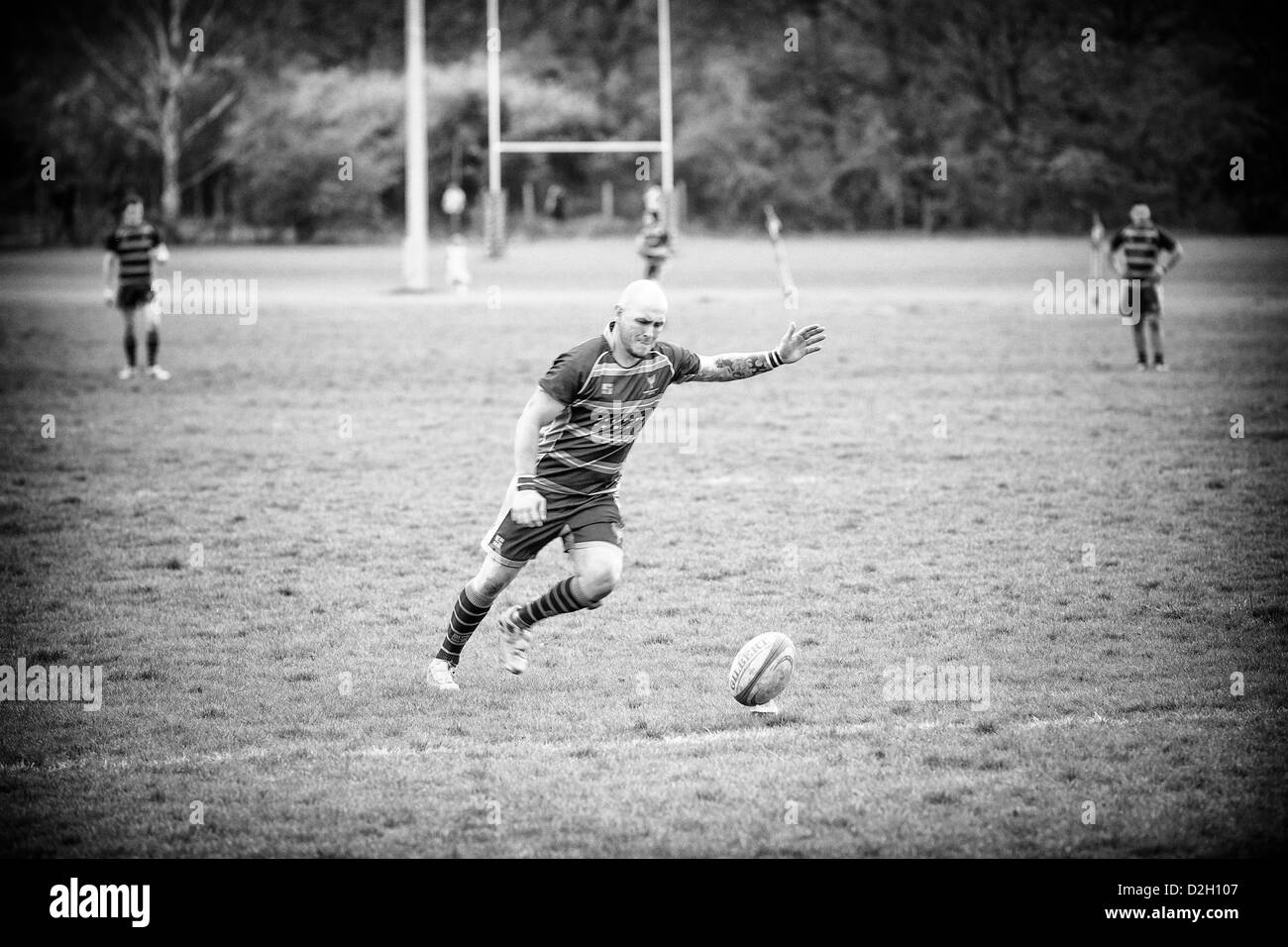 Rugby player running up to kick the ball Stock Photo
