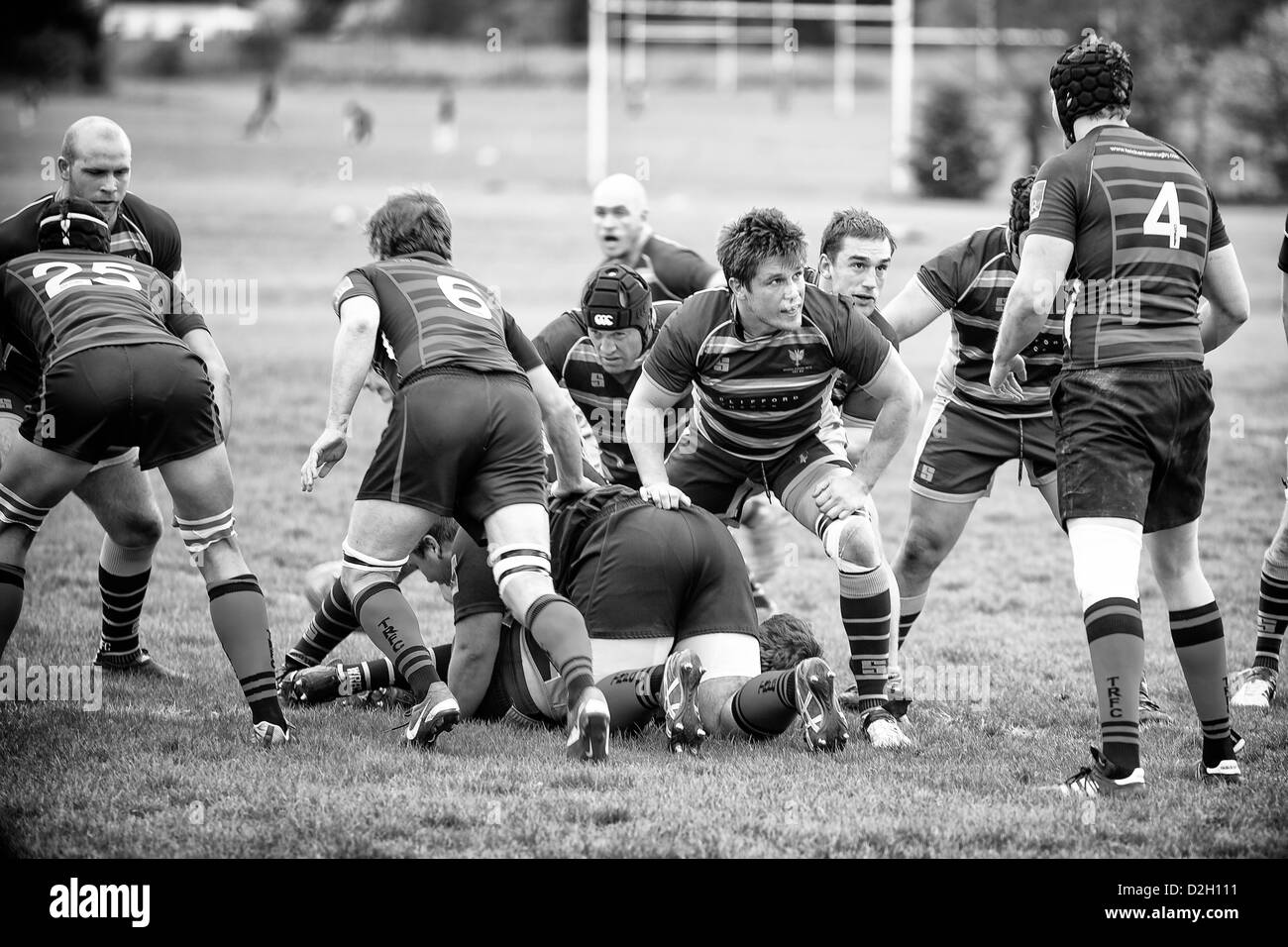 Rugby player stares at opposition player. Stock Photo