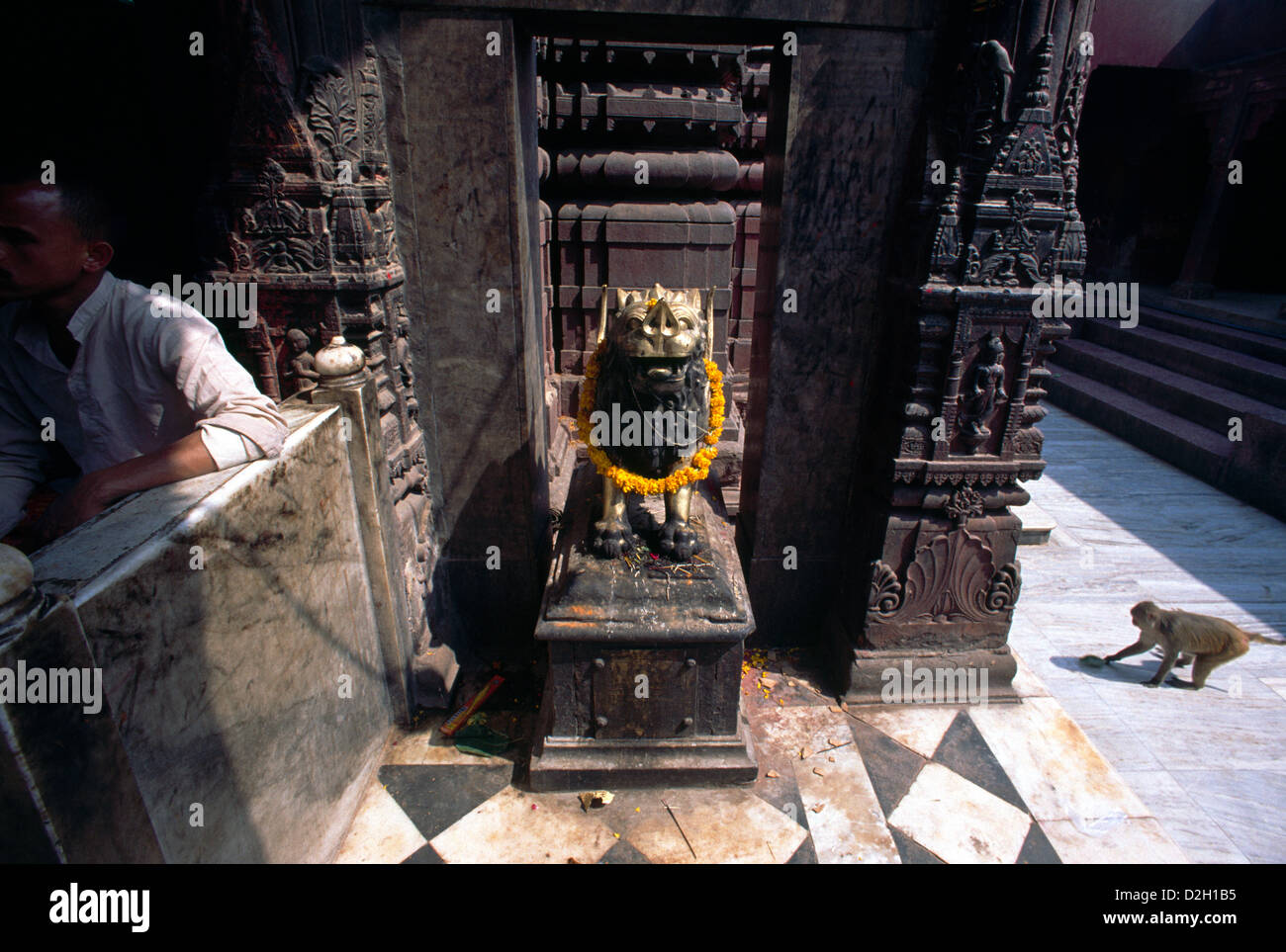 Varanasi India Hindu - Monkey Temple With Puja Stock Photo