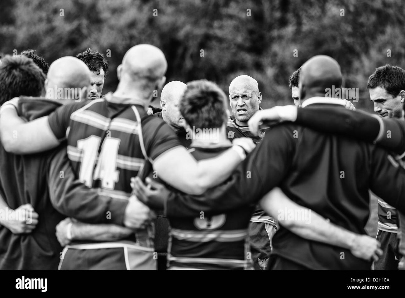 Rugby players huddle after a victorious match Stock Photo