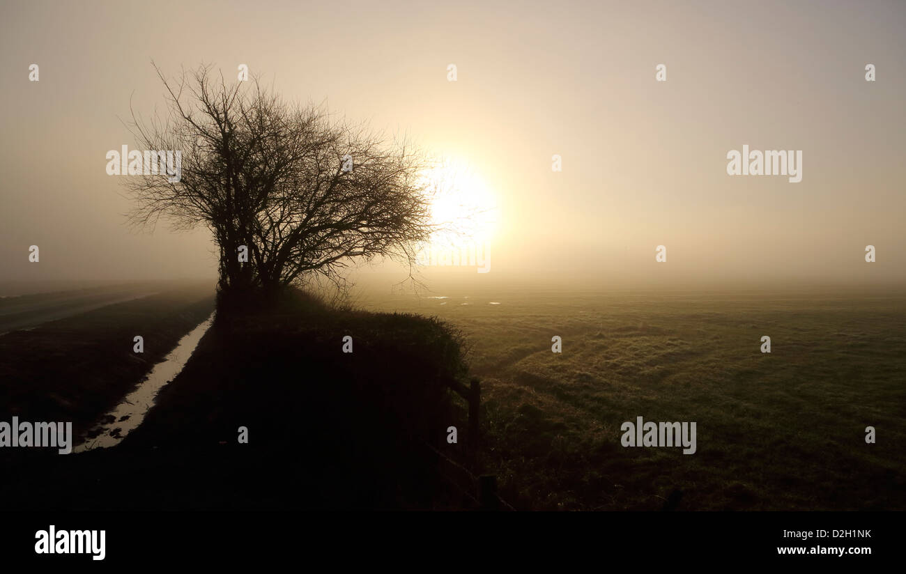 Sun in fog road hi-res stock photography and images - Alamy
