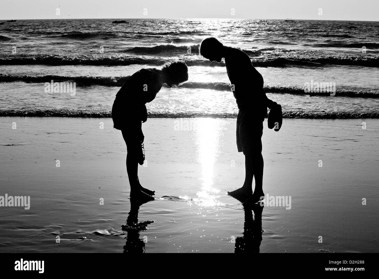 A couple in silhouette look at the beach as the sun set behind them ...