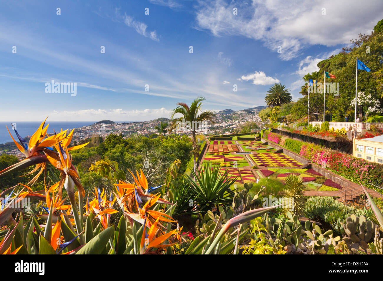 Formal garden display in the Botanical gardens Jardim Botanico Funchal  Madeira Portugal EU Europe Stock Photo