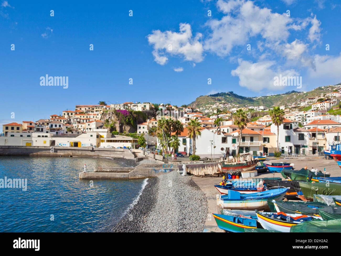 Traditional decorated fishing boats Camara de Lobos harbour Madeira Portugal EU Europe Stock Photo
