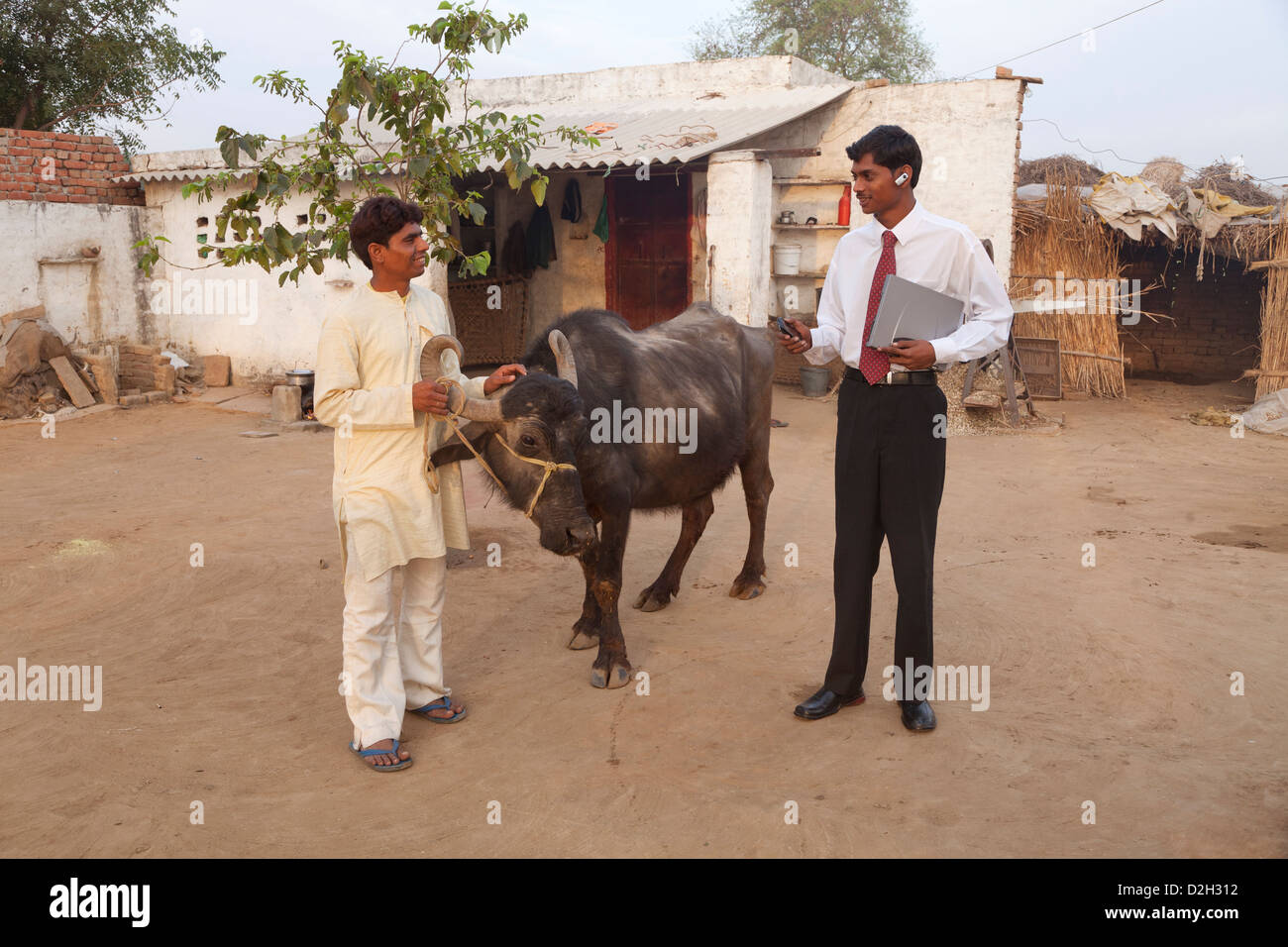 Uttar Pradesh, Agra, Young businessman with laptop, smartphone and bluetooth  headset talking to village farmer with bullock Stock Photo - Alamy