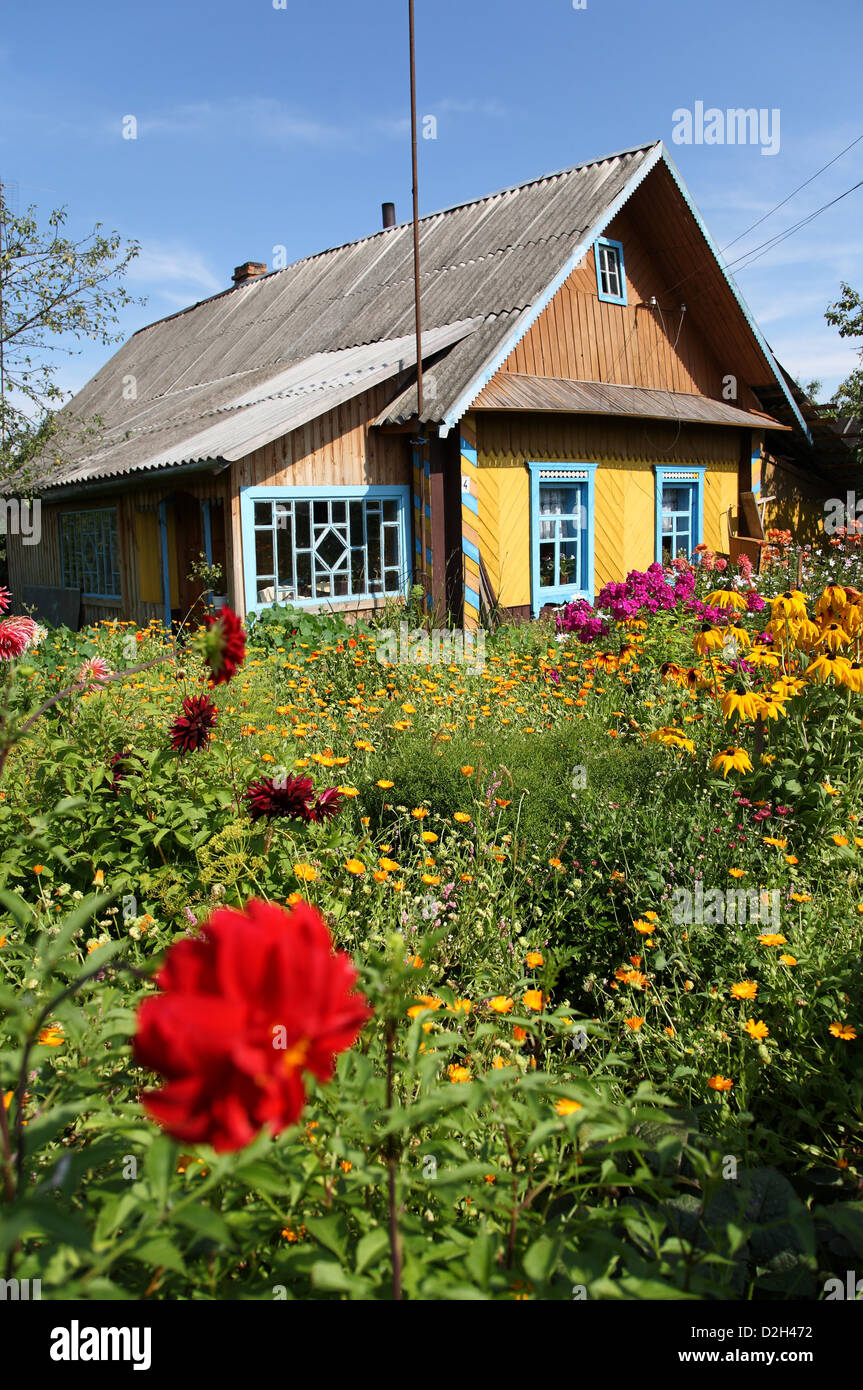 Domsarycy, Belarus, a typical wooden building in a sea of   flowers Stock Photo