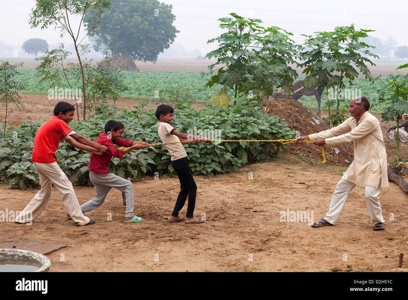 india, Uttar Pradesh, middle-aged farmer playing tug of war with his three children Stock Photo
