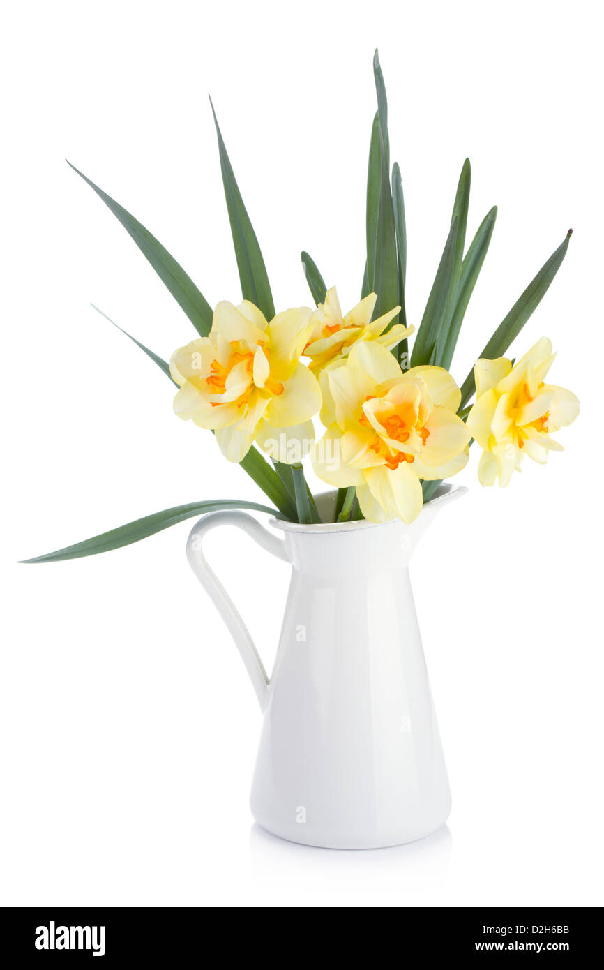 Bouquet of yellow daffodils in jug. Isolated on white background Stock ...