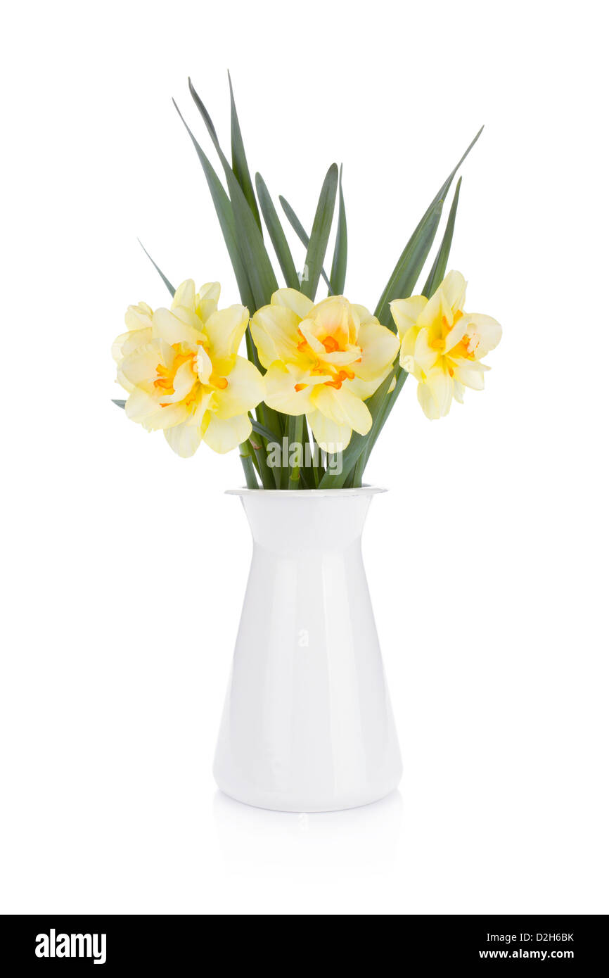 Bouquet of yellow daffodils in flowerpot. Isolated on white background ...