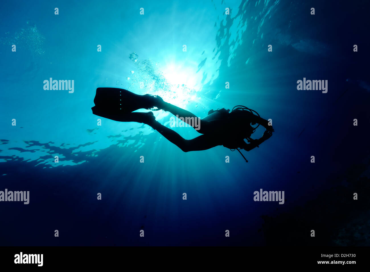 underwater view of diver swimming in the blue Stock Photo Alamy