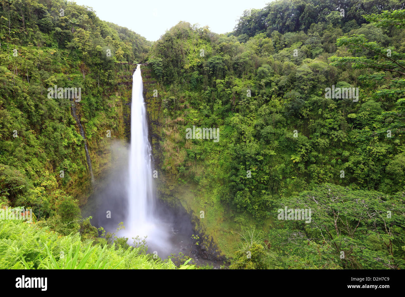 Famous Hawaiian waterfall in slow exposure and good detail at Akaka falls Hawaii, Big Island Stock Photo