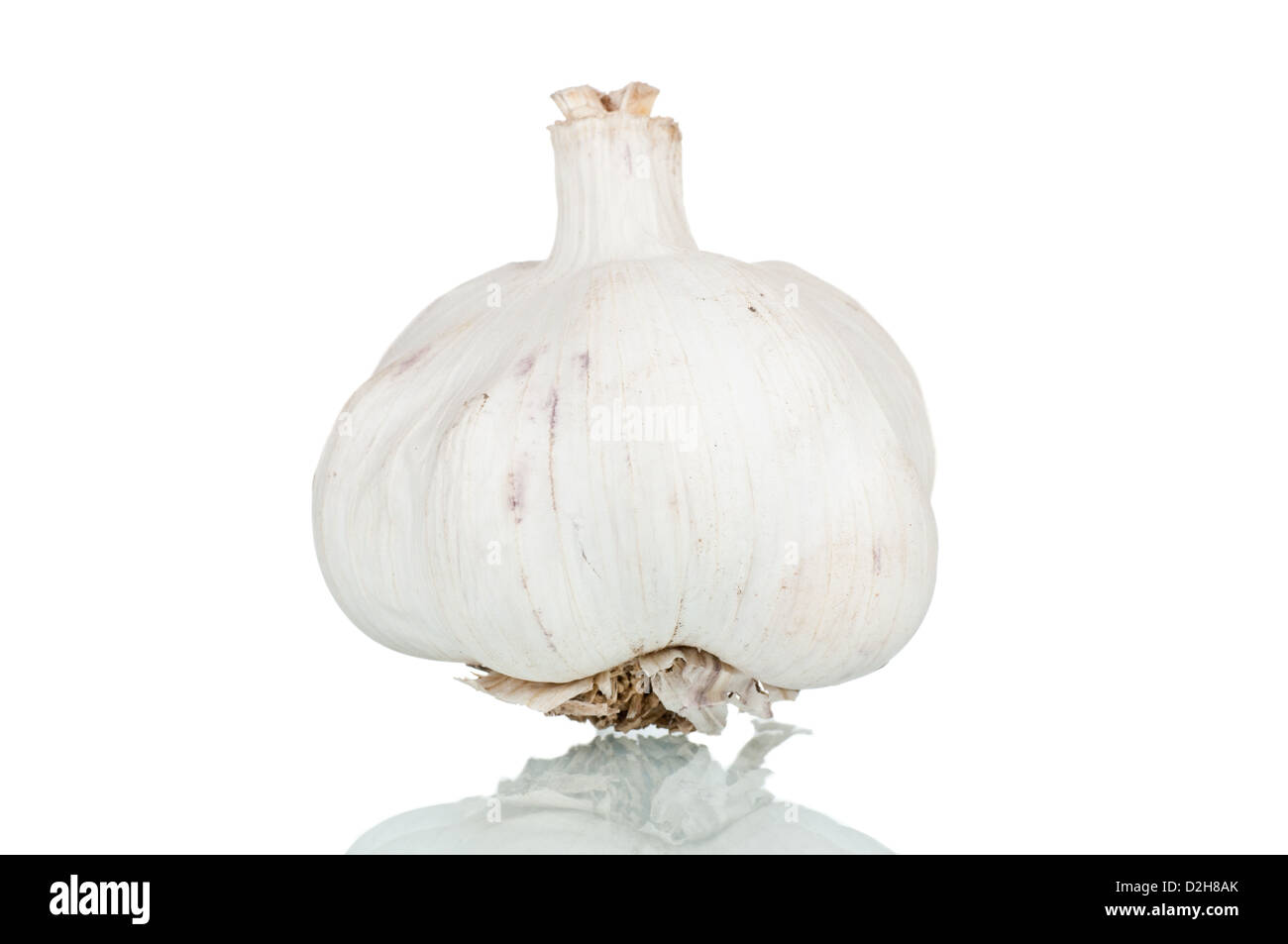 Garlic over a reflective white background Stock Photo