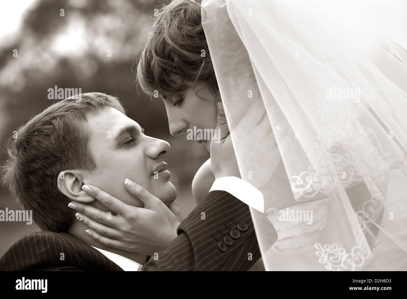 The groom kisses the bride Stock Photo - Alamy
