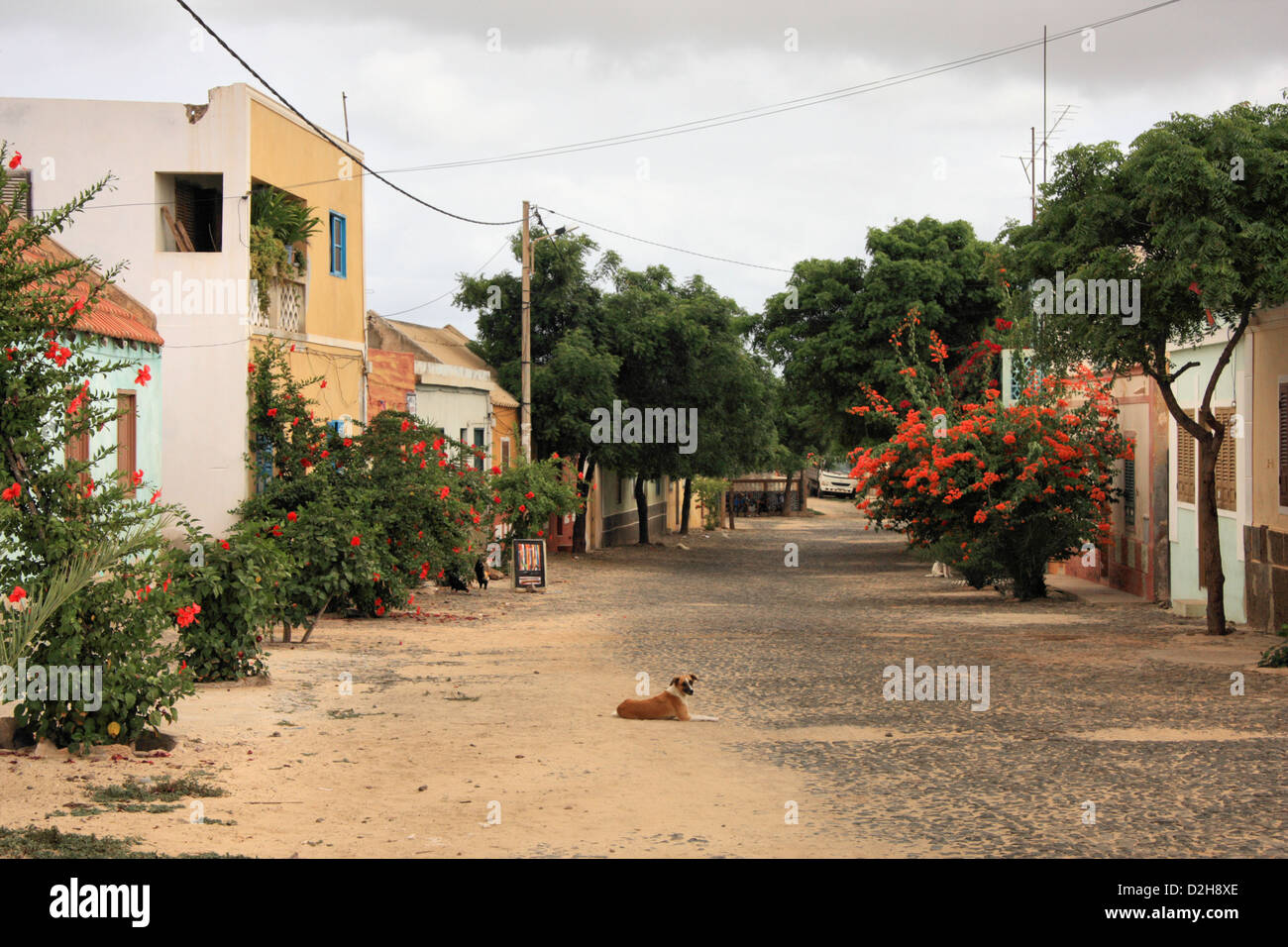 The village of Fundo das Figueiras on the island of Boa Vista, Cape Verde Stock Photo