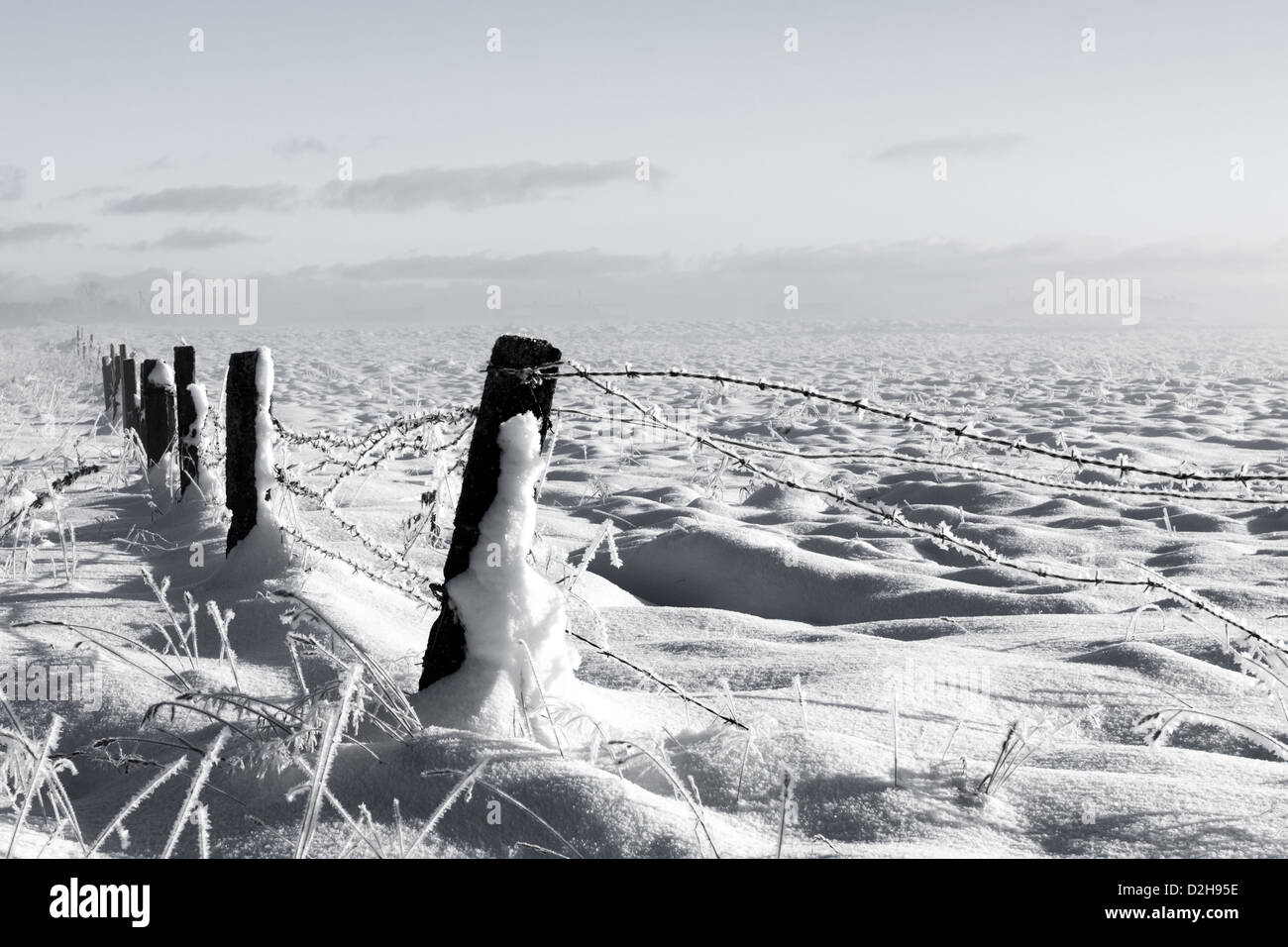 Barbed wire fence with snow covered ground and fog Stock Photo - Alamy