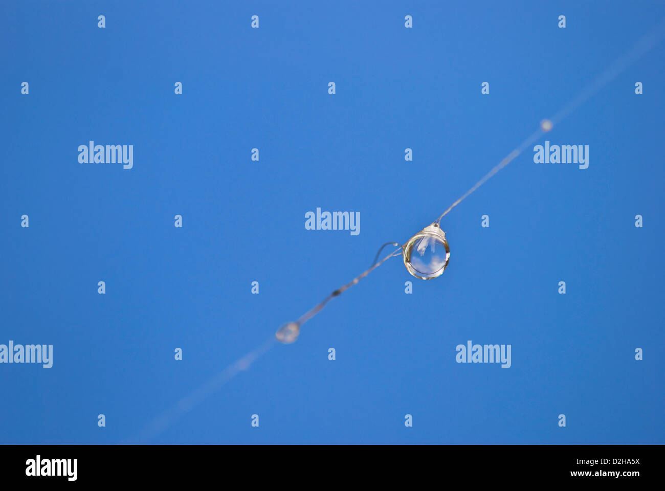 Spider Web Single Thread Spiders web art hi-res stock photography and images - Alamy