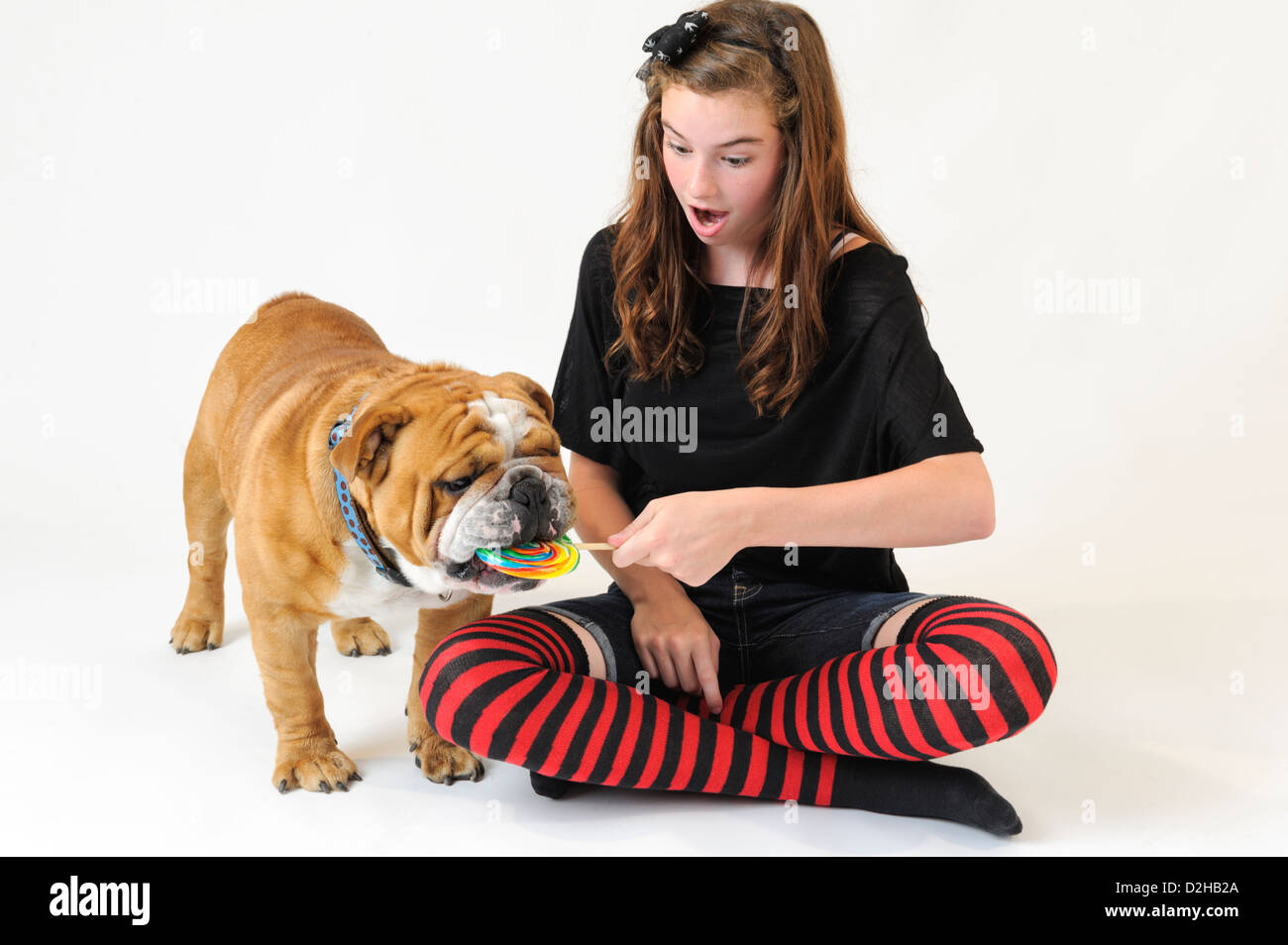 Young girl surprised at a dog snatching and licking her lollipop, a thirteen year old teenager and her pet bulldog. Stock Photo