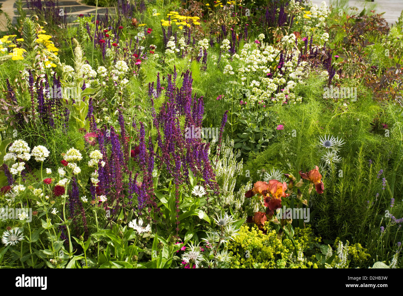 Gardens summer borders perennials hi-res stock photography and images ...