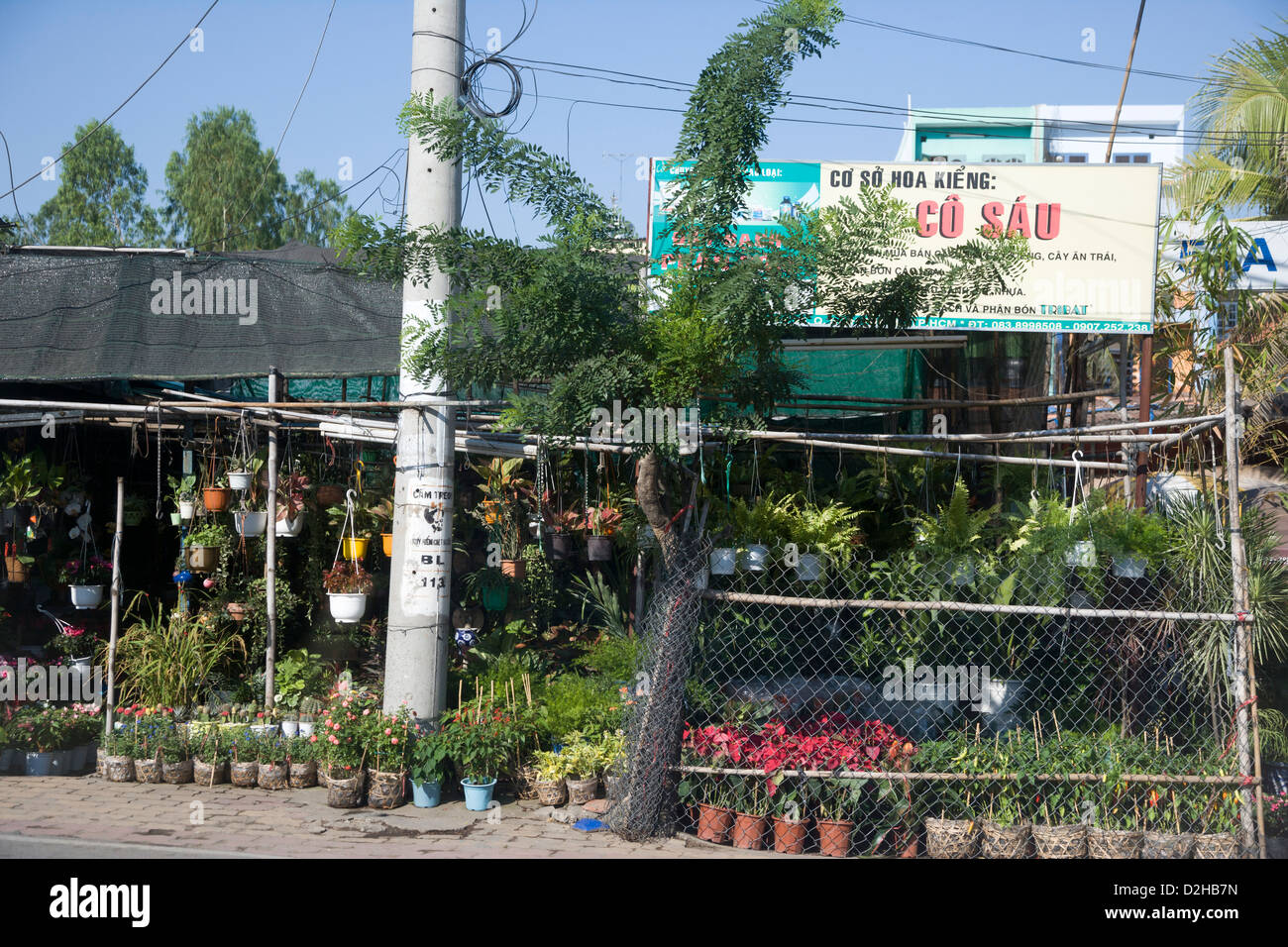 Saigon vietnam nursery plants hires stock photography and images Alamy