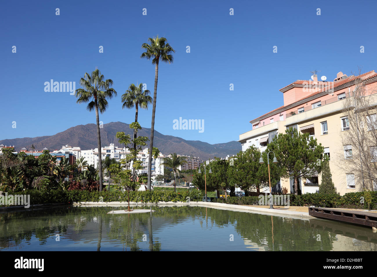 Palm trees in Estepona. Costa del Sol, Andalusia, Spain Stock Photo