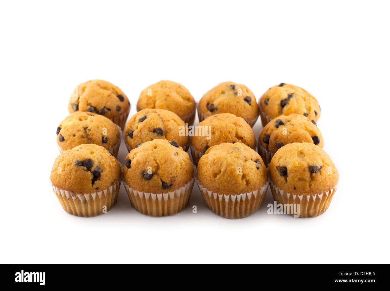 A dozen of mini Chocolate Chip Muffins in a white background Stock Photo