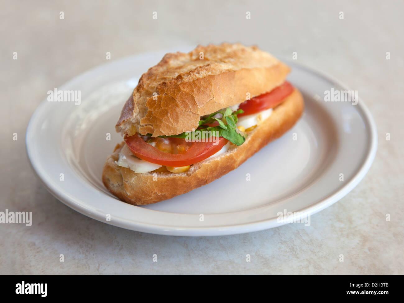 Bocadillo or Panino. Sandwich made with traditional bread, on a white plate. Stock Photo