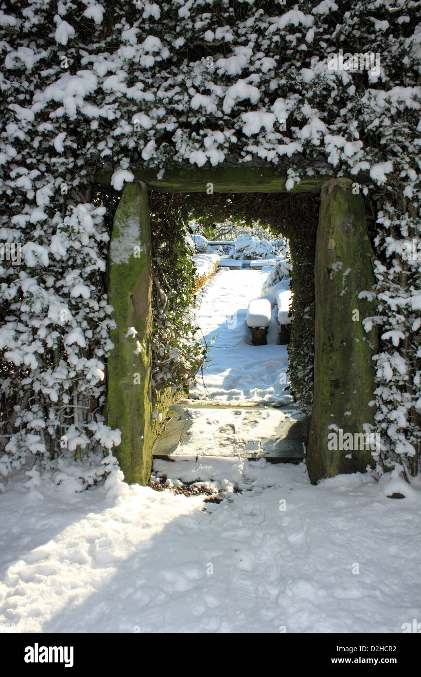 Snow Winter Weather on Hedge and Gate Stock Photo