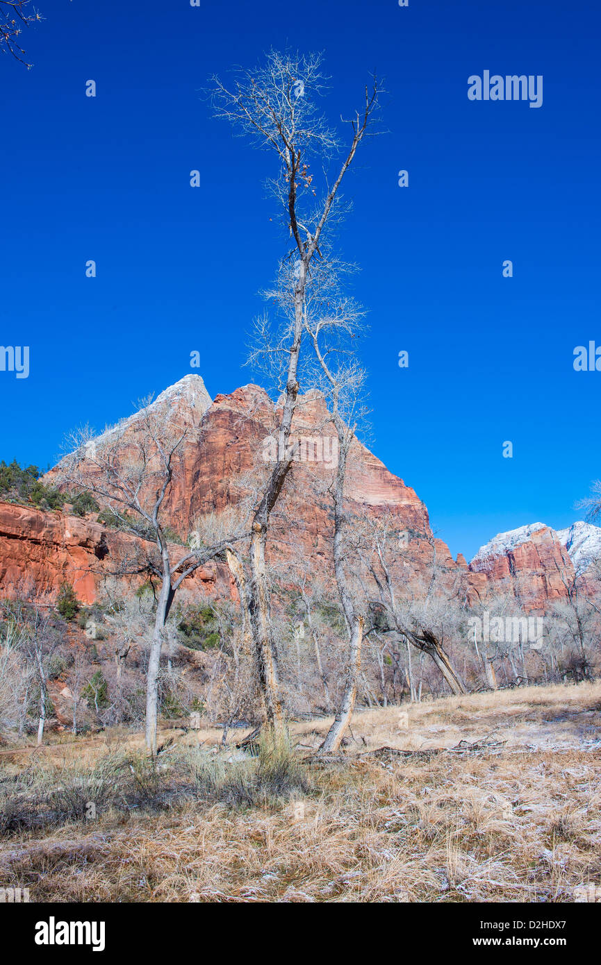 The Zion national park in Utah on winter Stock Photo Alamy