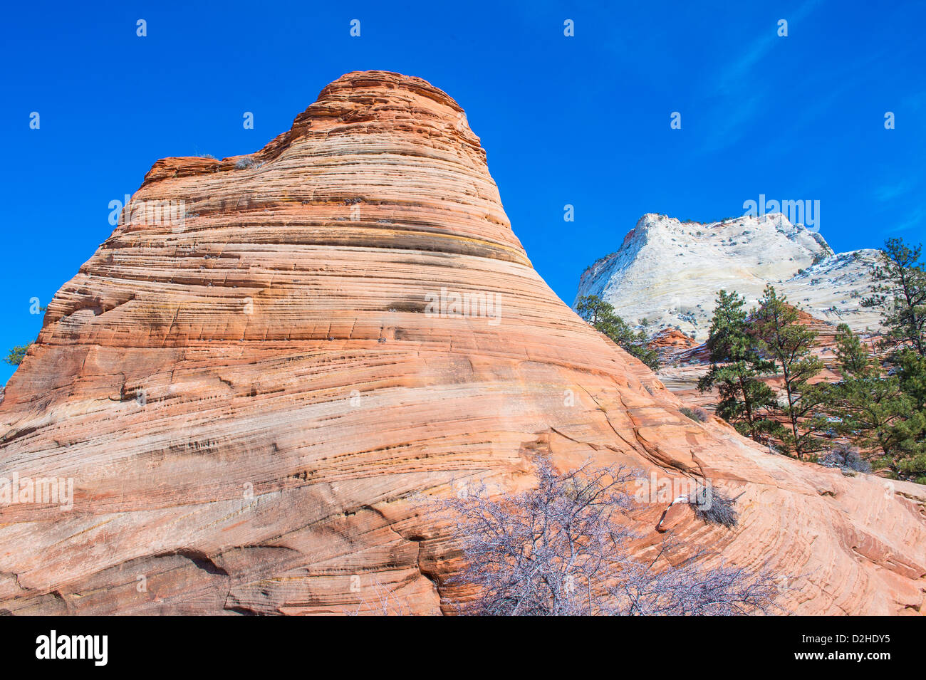 The Zion national park in Utah on winter Stock Photo Alamy