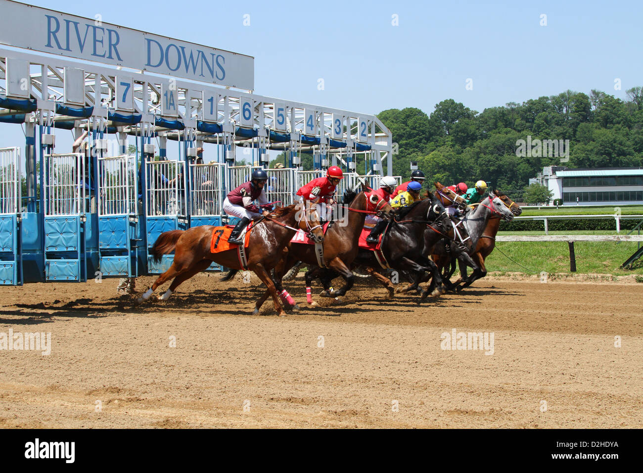 Race Horses Starting Gate High Resolution Stock Photography And Images Alamy Race Horses Starting Gate High Resolution Stock Photography And Images Alamy