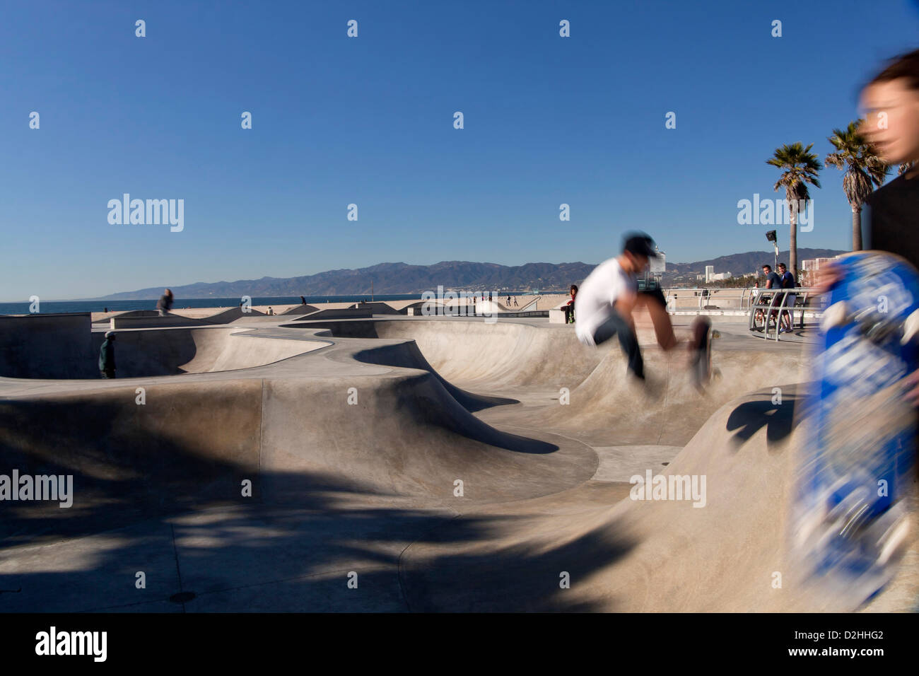 Skater at the skate park in Venice Beach, Los Angeles, California, United States of America, USA Stock Photo