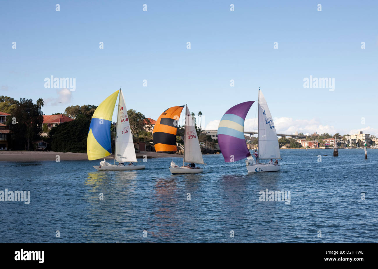 Yachts under spinaker sailing on the lower reaches of Parramatta River - Wallumatta Bay Sydney Harbour Stock Photo