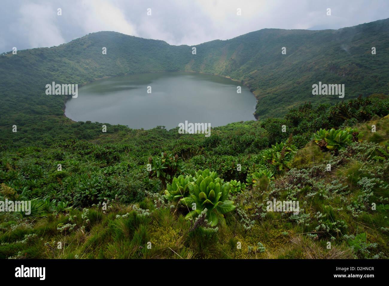 Mount bisoke hi-res stock photography and images - Alamy