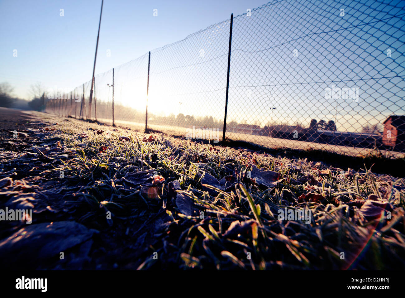 Fence in morning llight Stock Photo