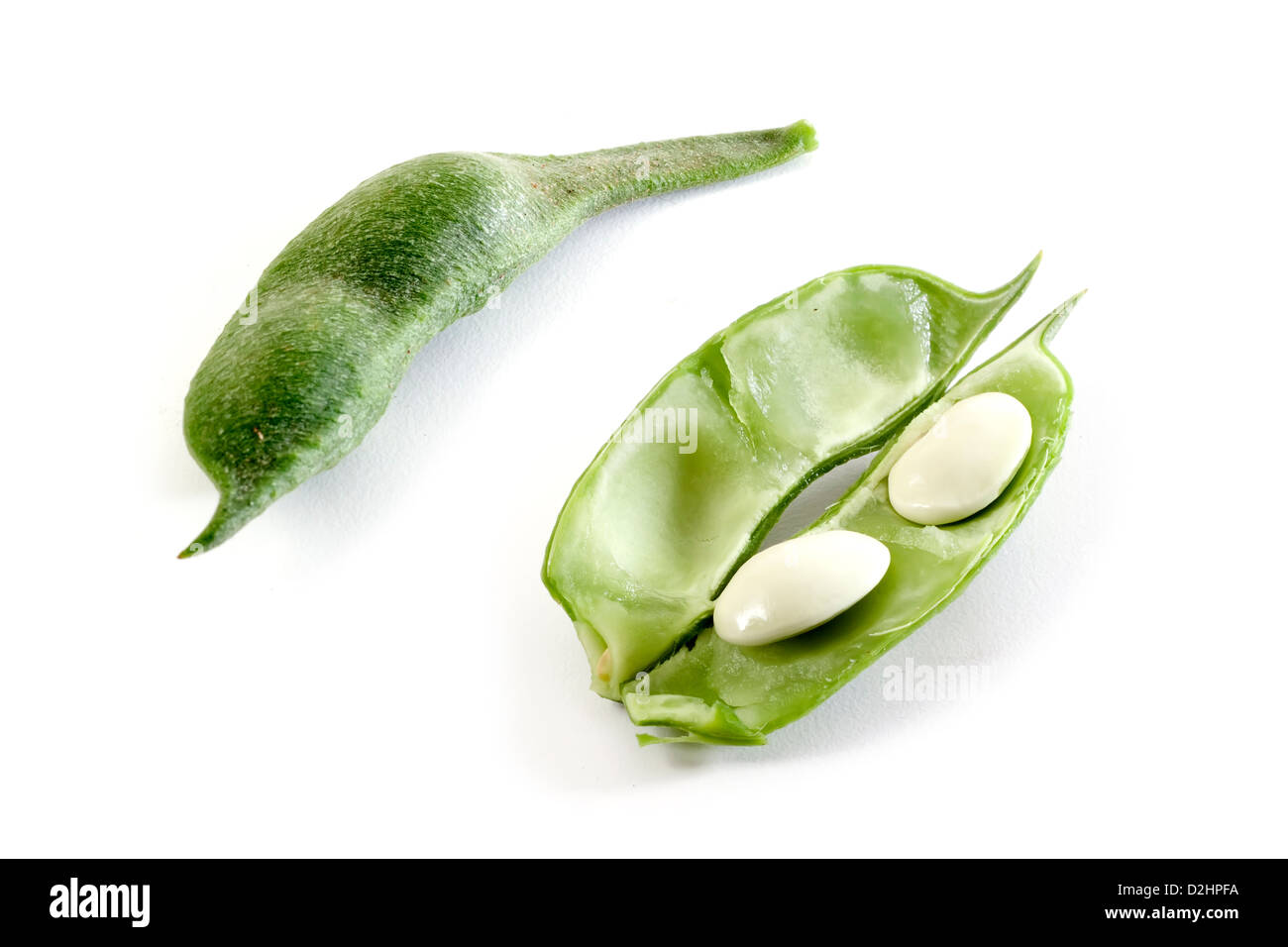 bean pod, open and closed Stock Photo