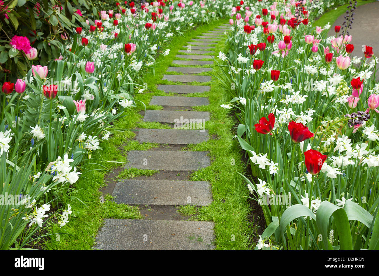 Flower Pin Spring Walk Stone walk way winding in spring flower garden Stock Photo - Alamy