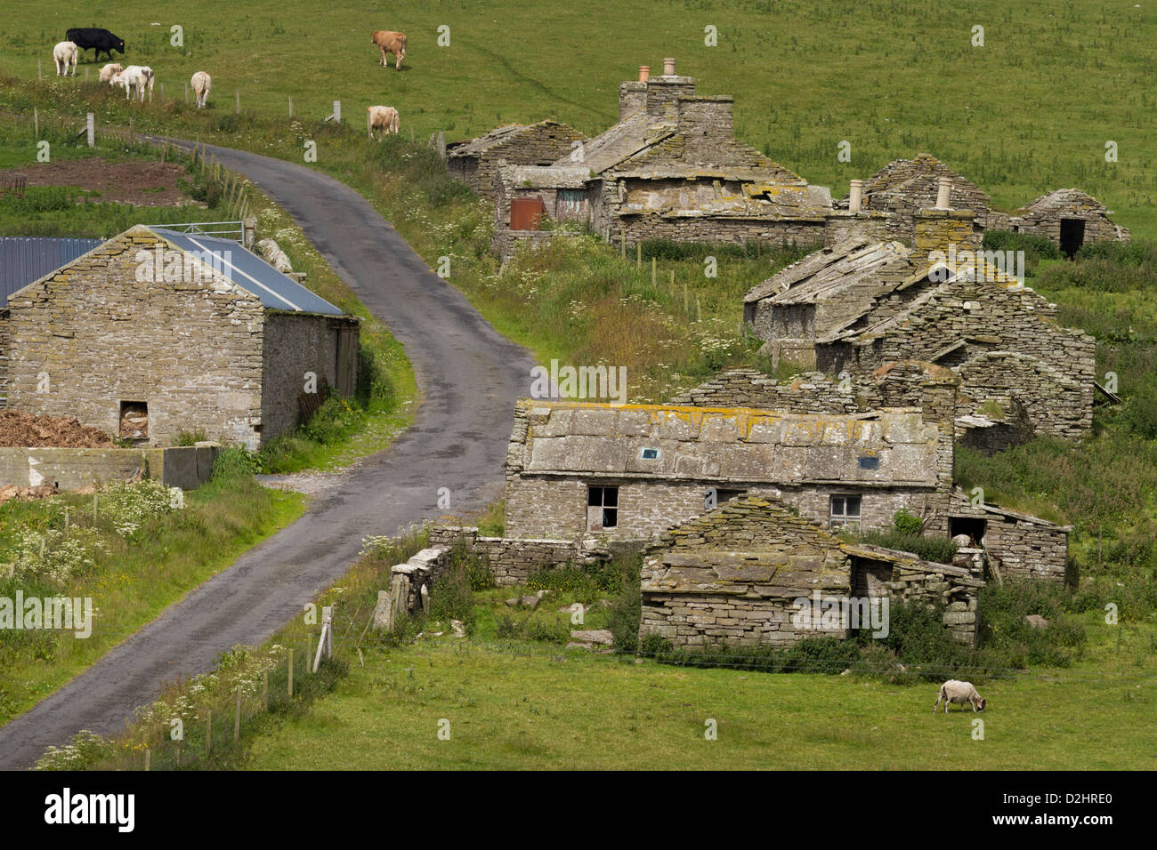 Abandoned village, Orkney Islands Stock Photo