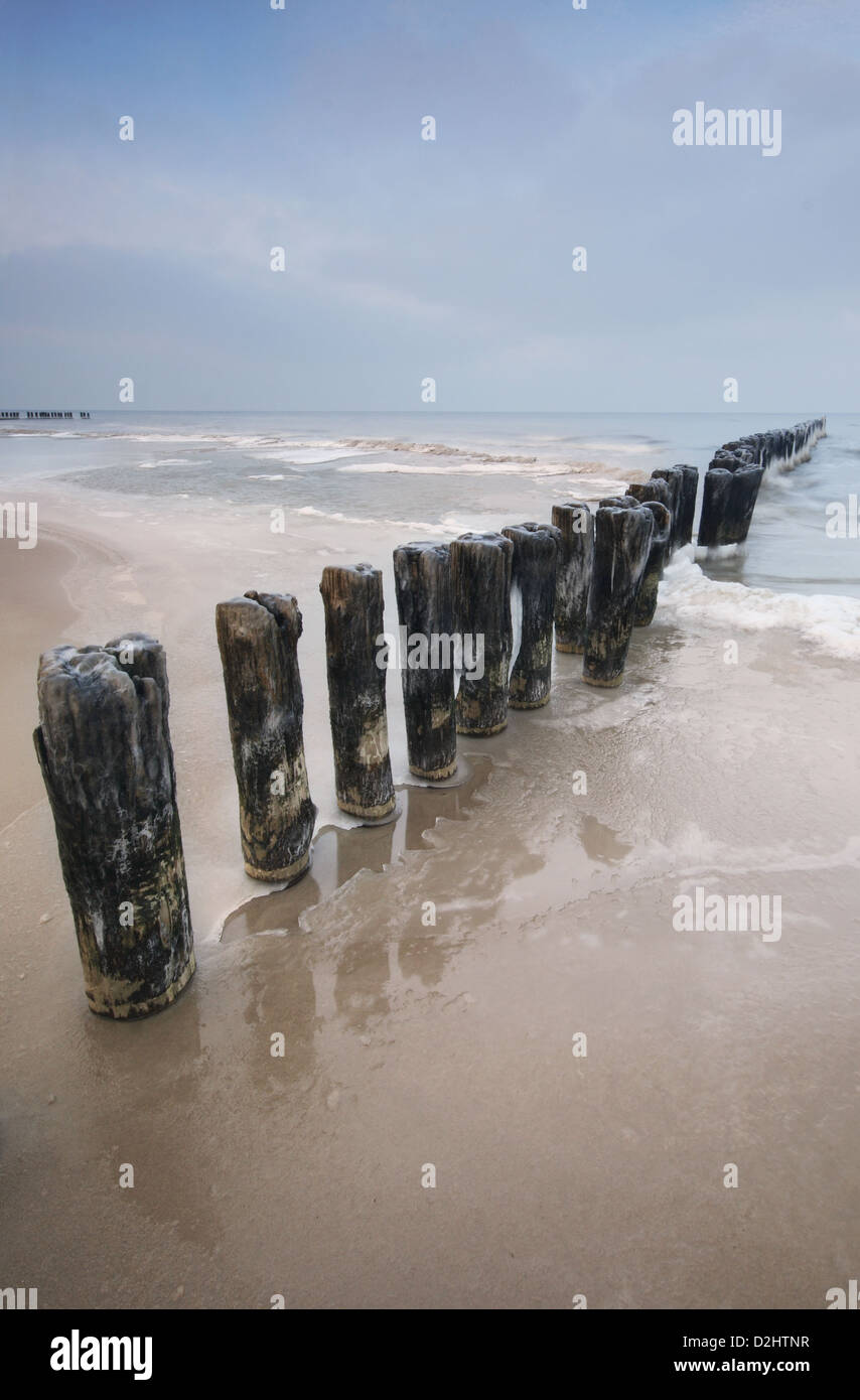 Frozen wooden wave breakers pillars on a beautiful sandy beach on the Polish Baltic Sea coast. Stock Photo