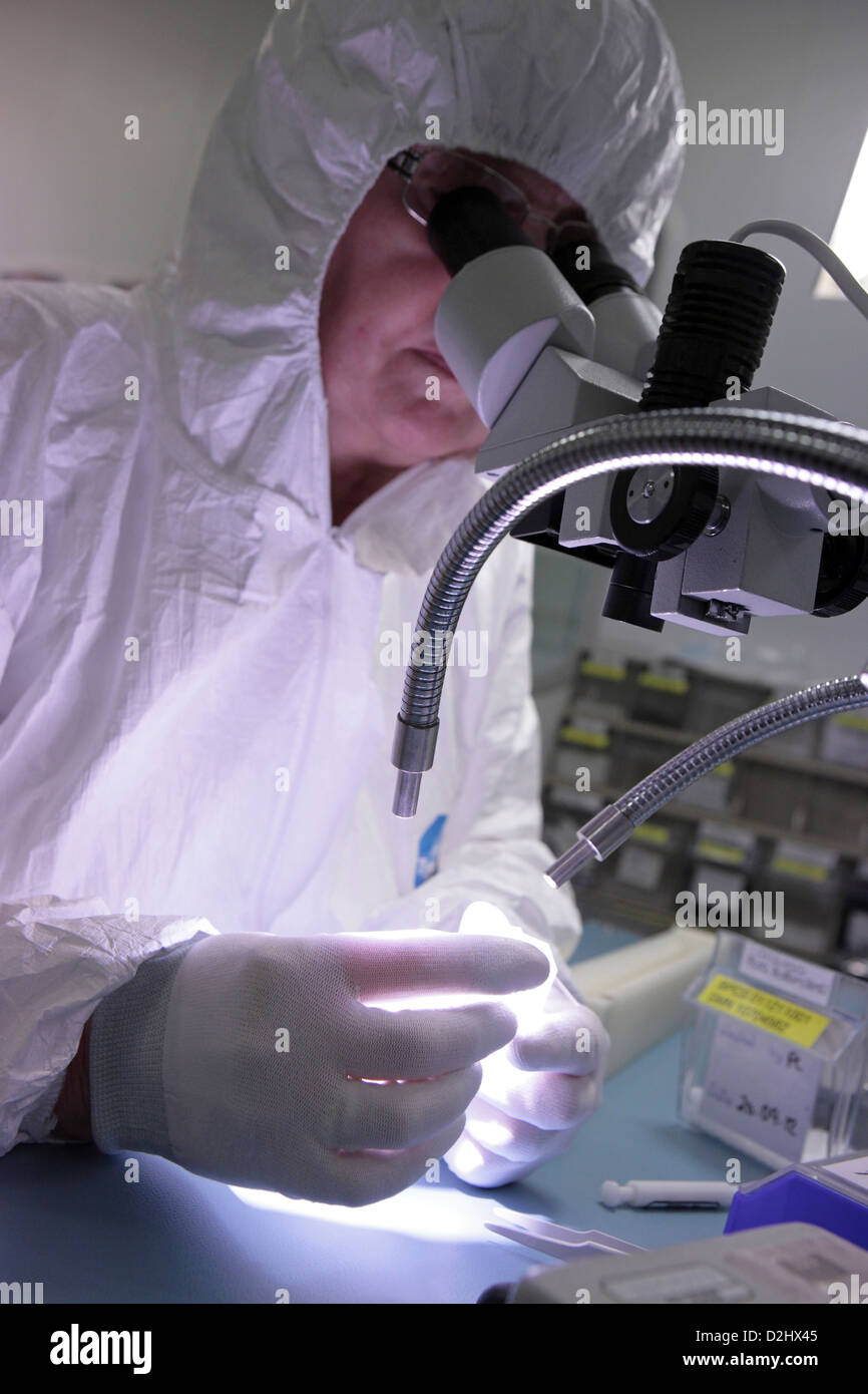 Clean room, electronic industry laboratory microscope and female worker, UK Stock Photo