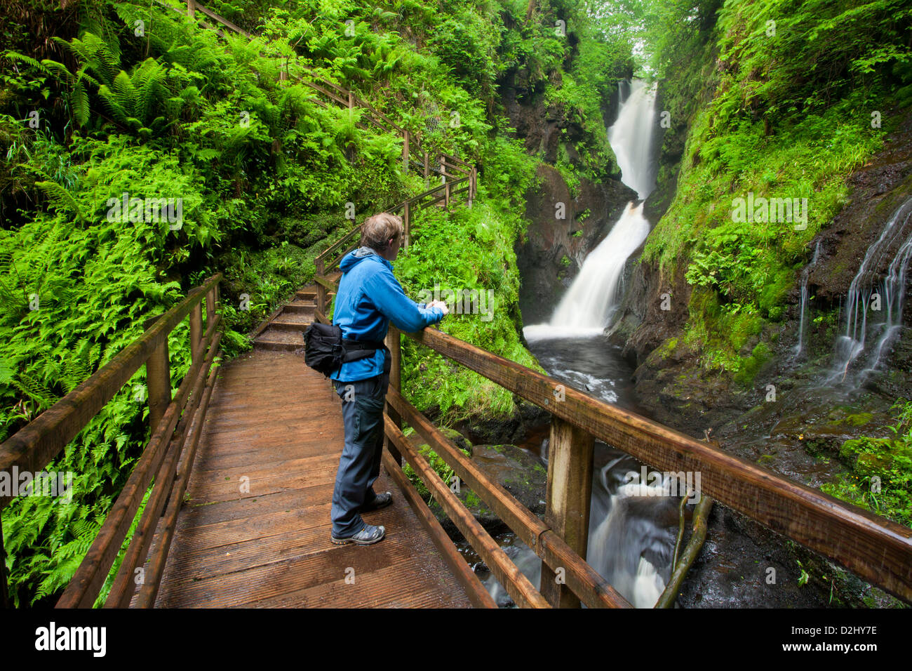 Hiker on wooden walkway beneath Ess-na-Larach waterfall, Glenariff Forest Park, County Antrim, Northern Ireland. Stock Photo