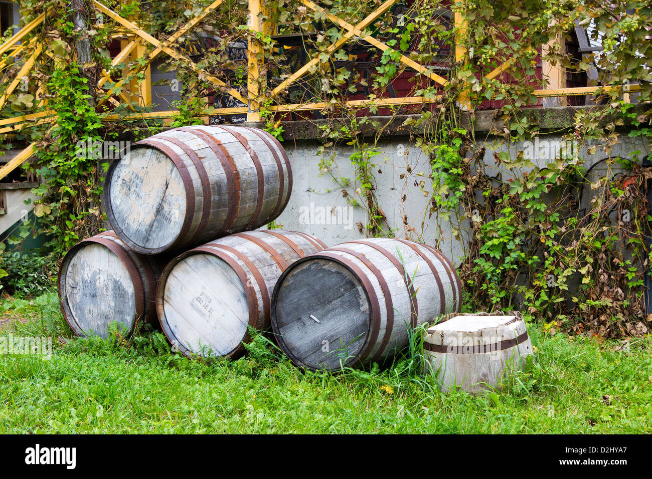 Old stacked beer barrels at the farm Stock Photo Alamy