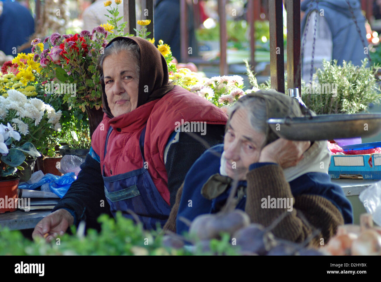 Elderly women selling flowers in Kalenić market, Belgrade. Stock Photo