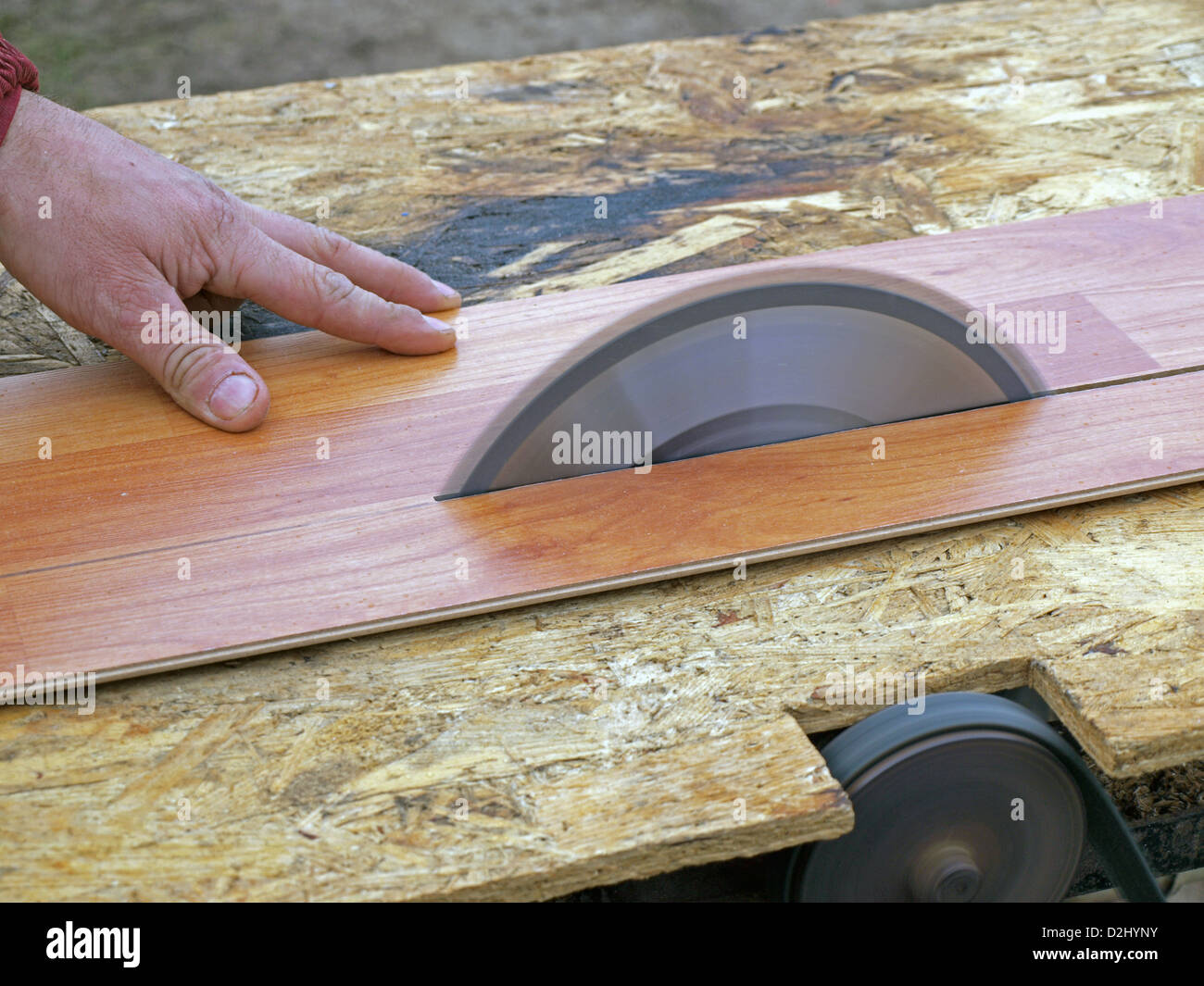 Sawing laminate floorboards by homemade circular saw Stock Photo Alamy