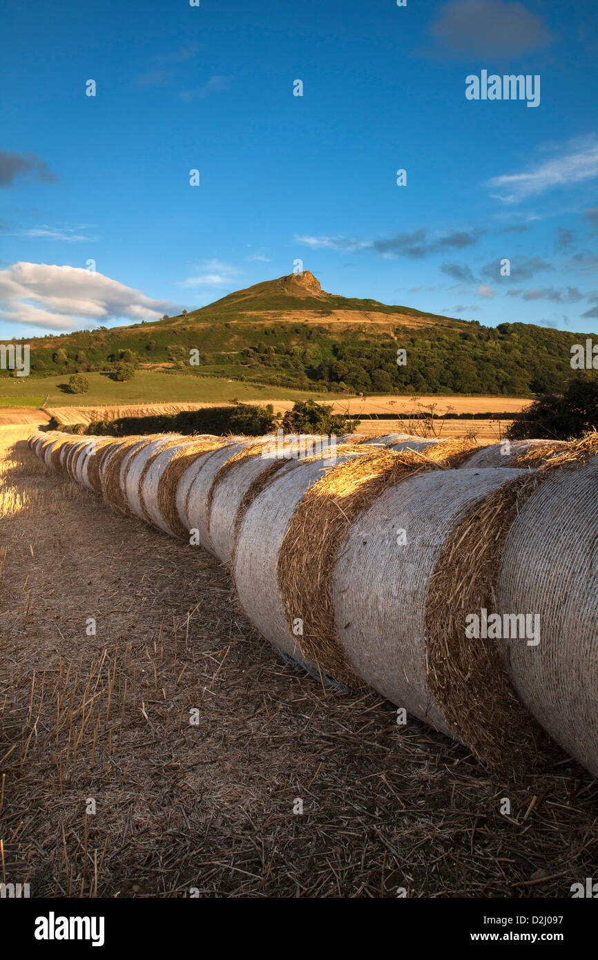 Roseberry Topping and Hay Bales, Newton under Roseberry Stock Photo