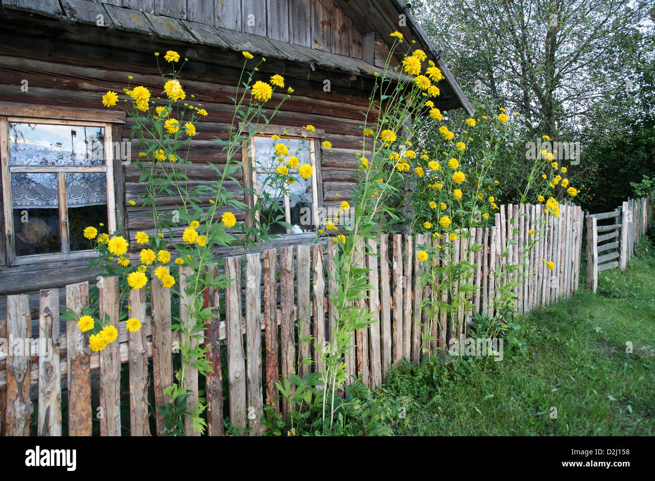 Kalnik, Belarus, traditional wooden house Stock Photo Alamy